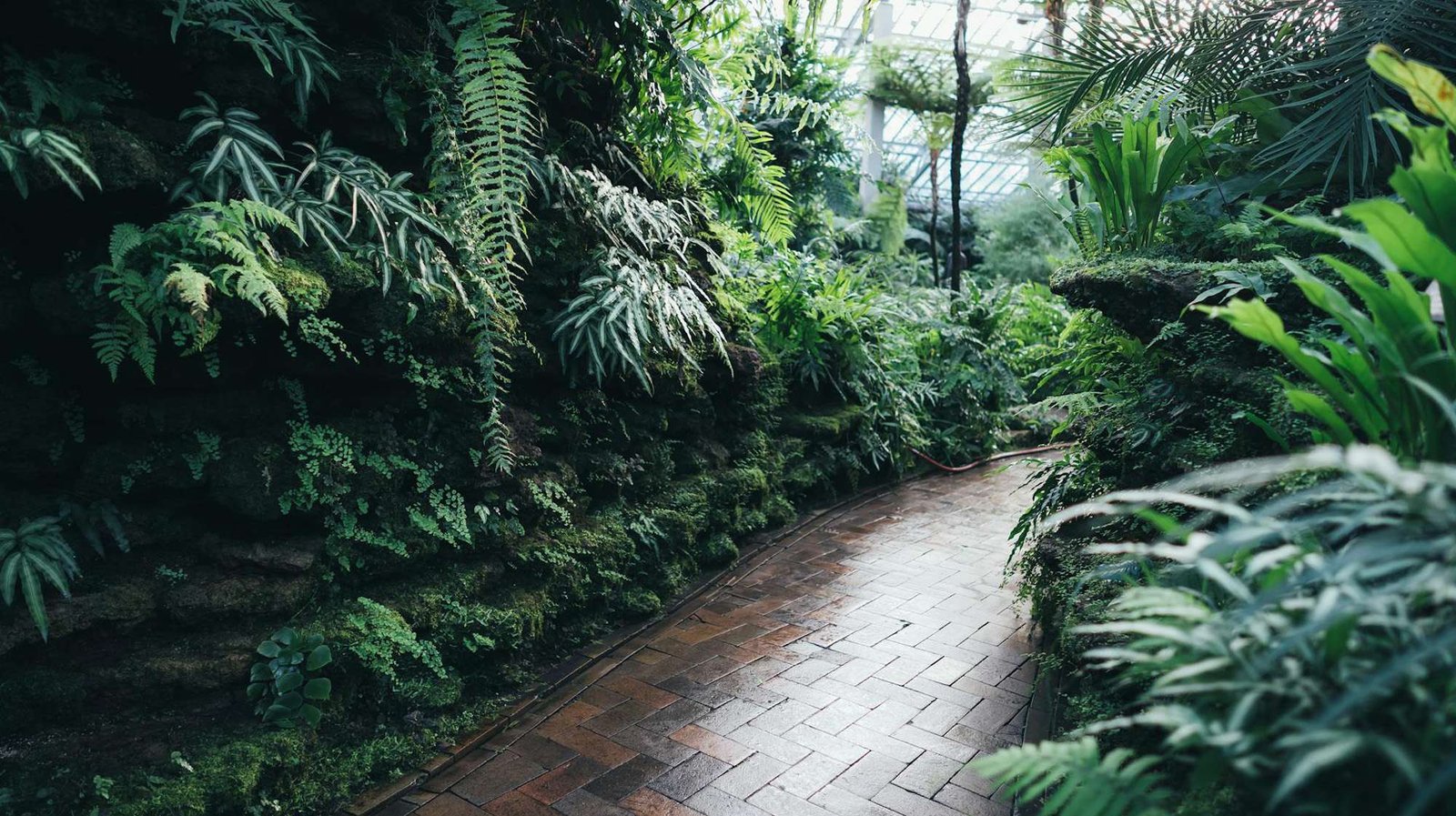 Blog Image The Perfect Planter for Every Space