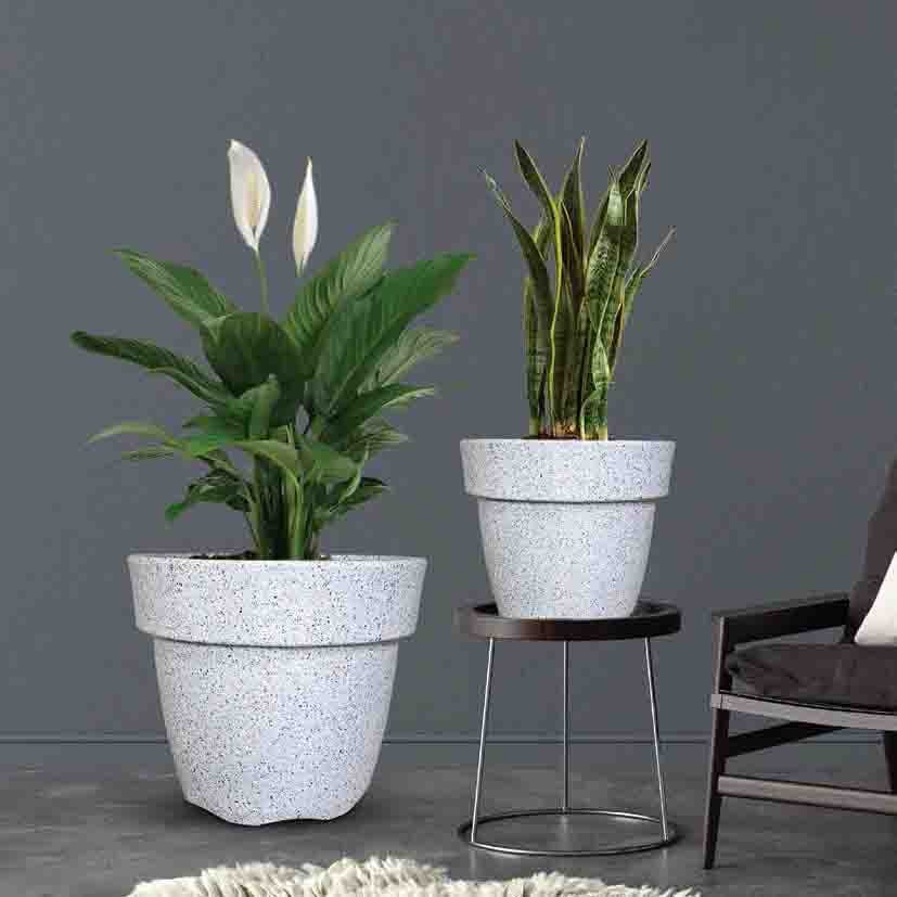 Dolium Pots