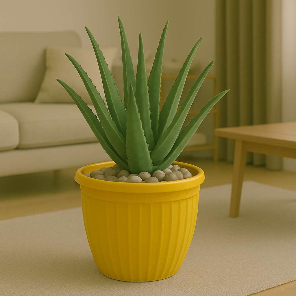 Lotus Pots
