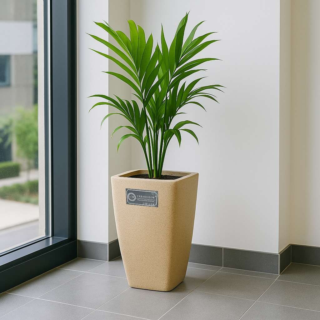 Grandeur Pots