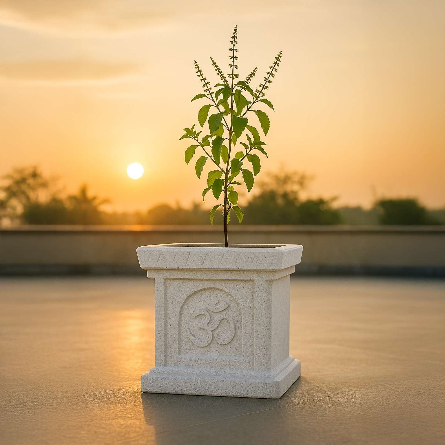 Tulsi Pots