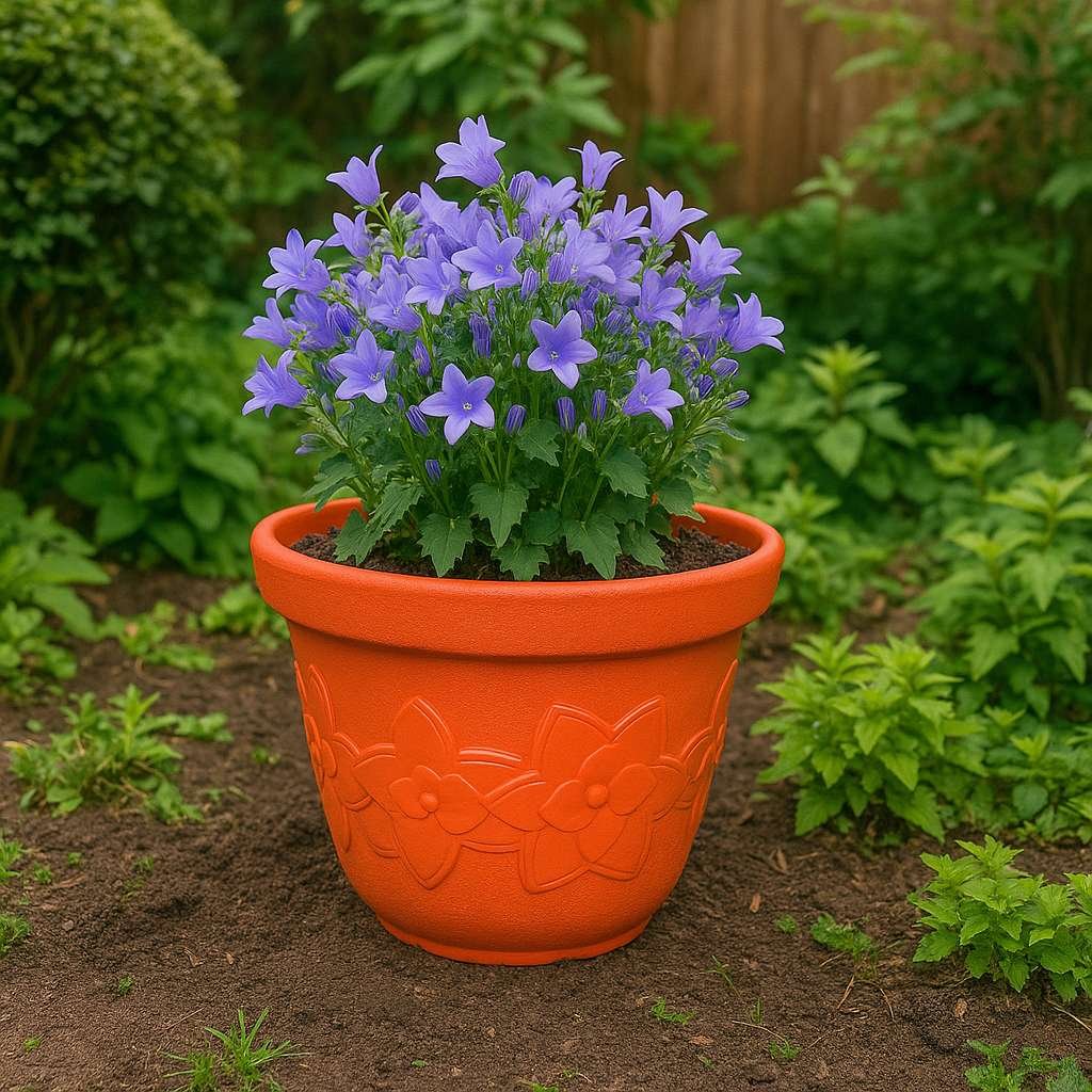 Sunflower Pots