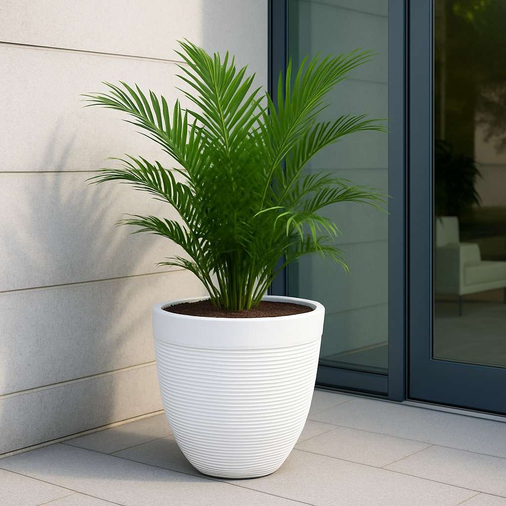 Victor Pots