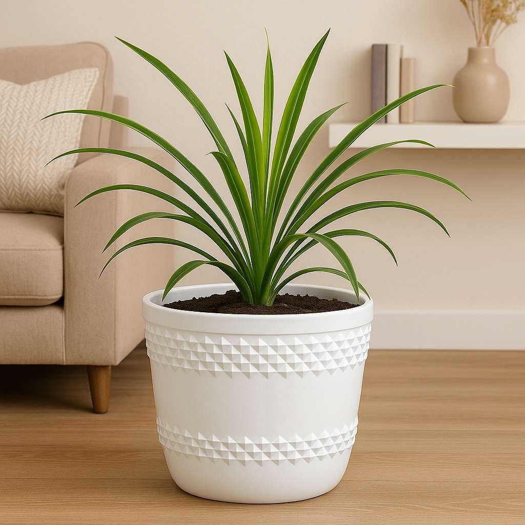 Diamond Pots