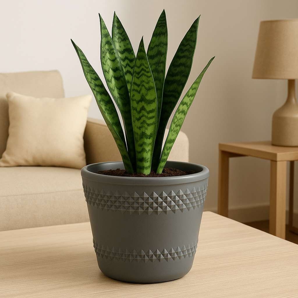 Diamond Pots
