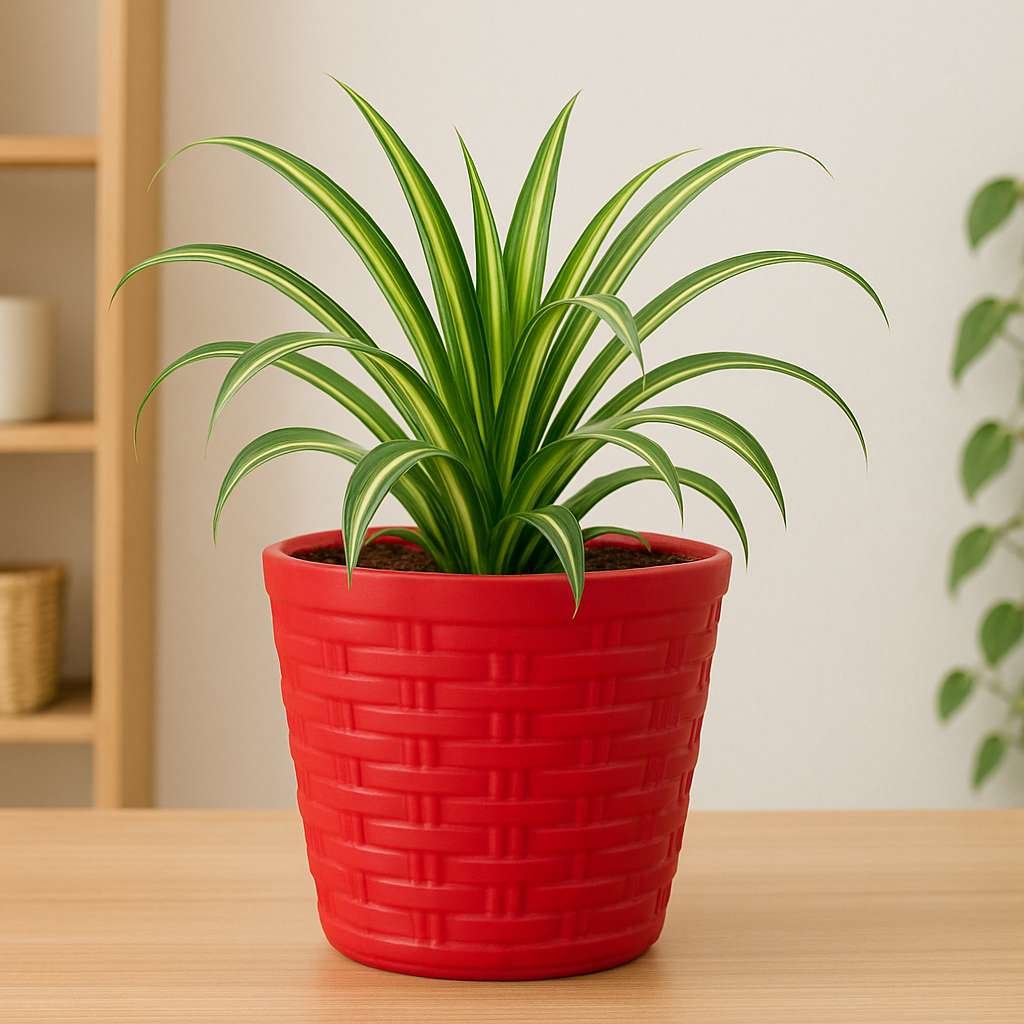 Stylo Pots