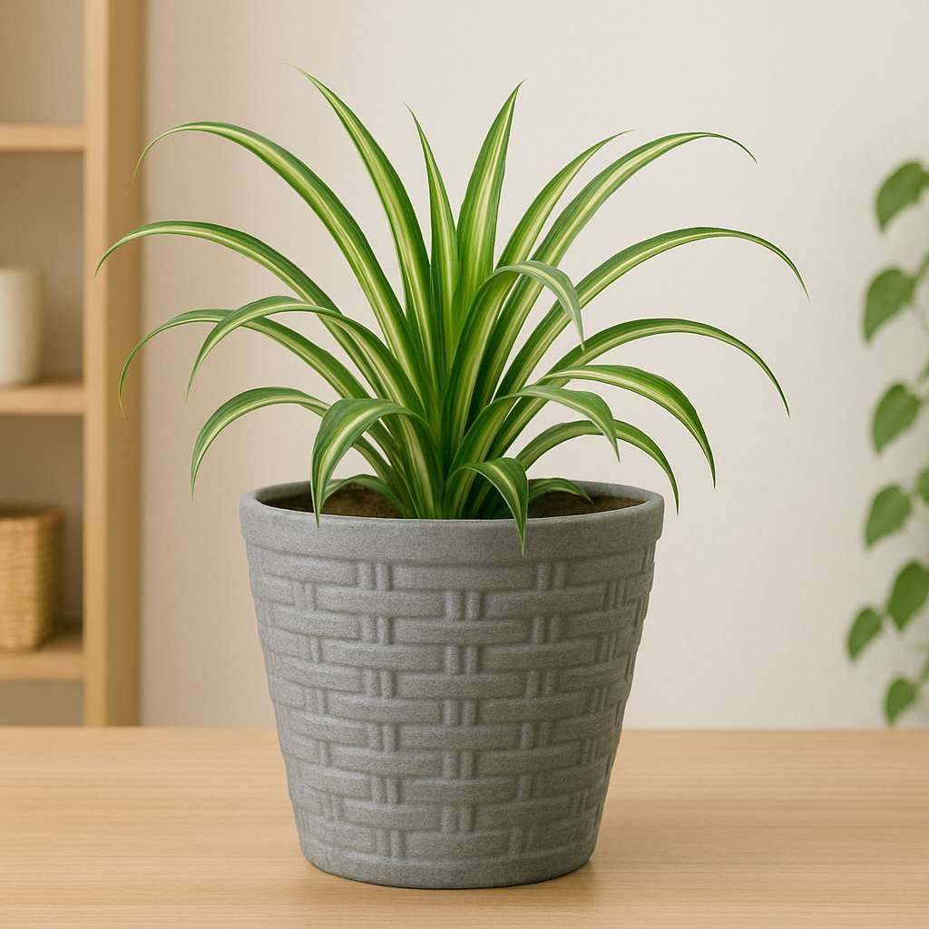 Stylo Pots
