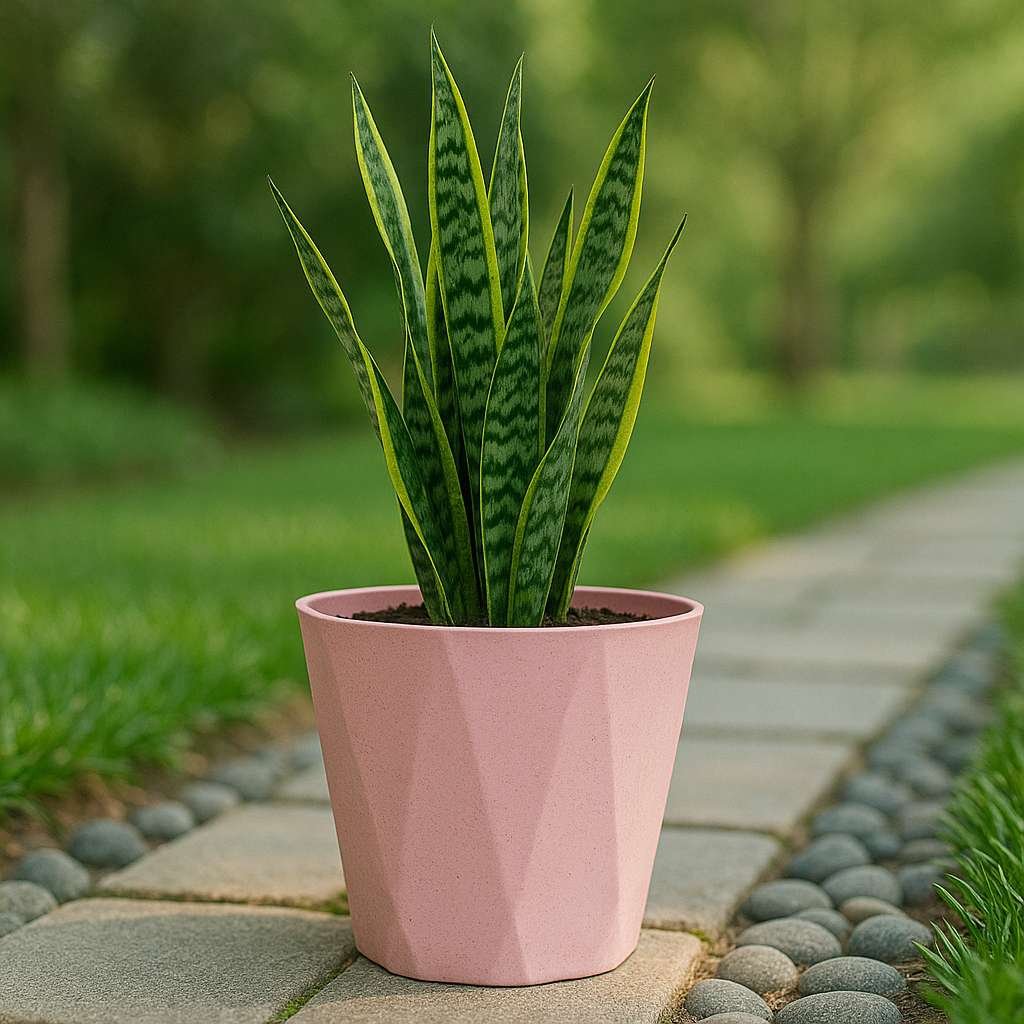Dyna Pots