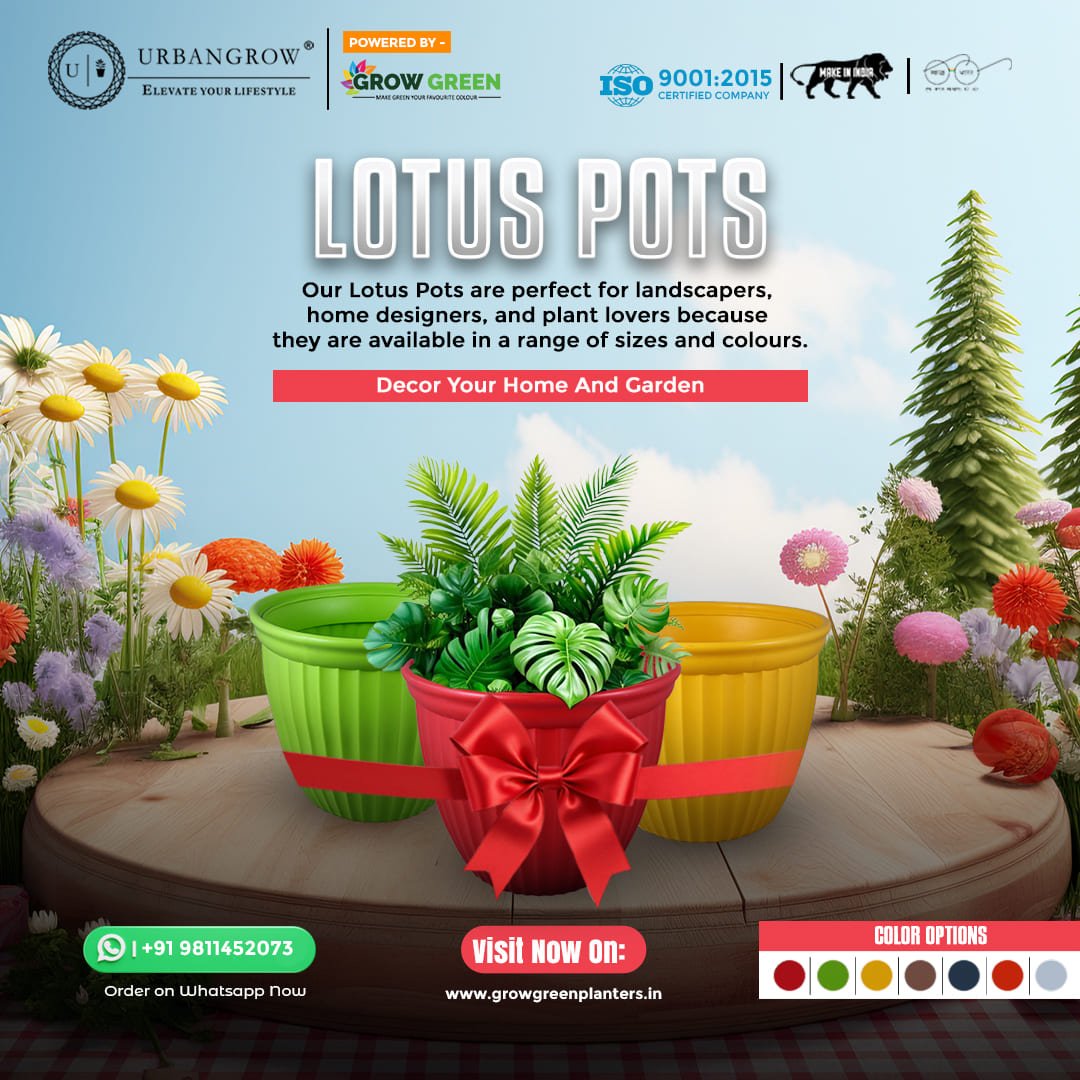 Lotus Pots