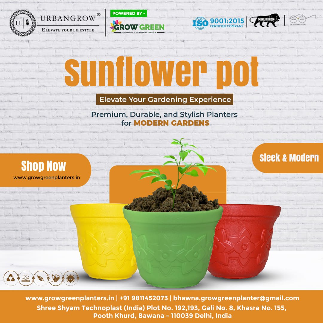 Sunflower Pots