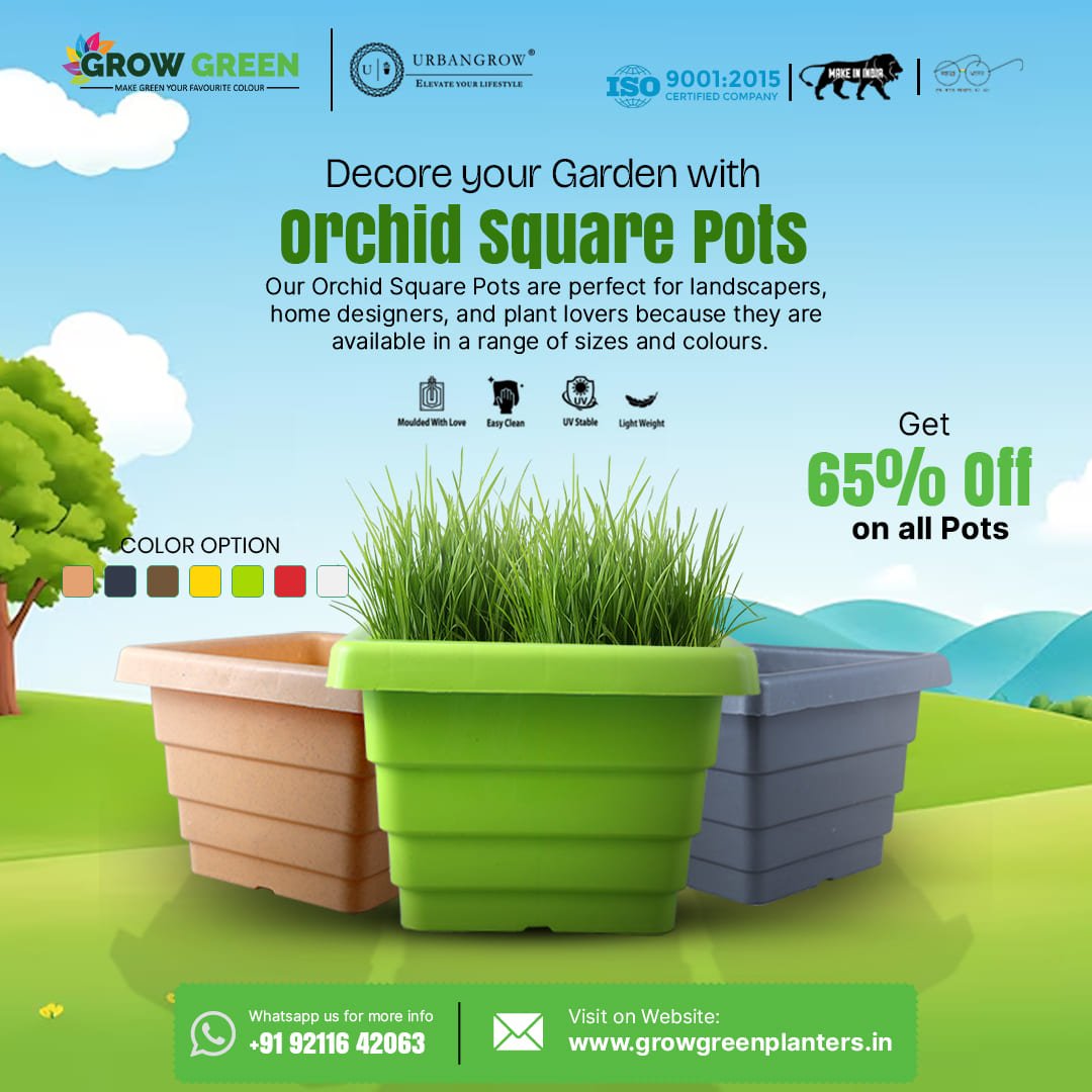 Orchid Square Pots