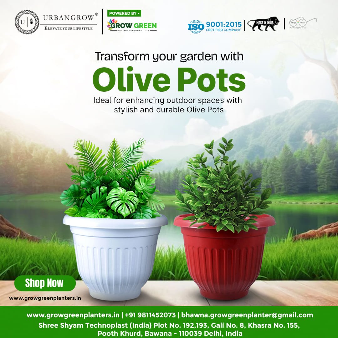 Olive Pots